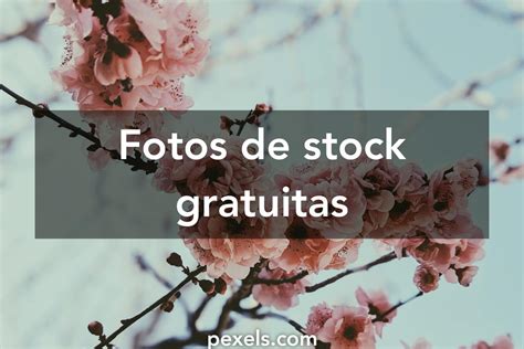 fotos only gratis|223.137+ Fotos y Imágenes de Fotos gratis Gratis